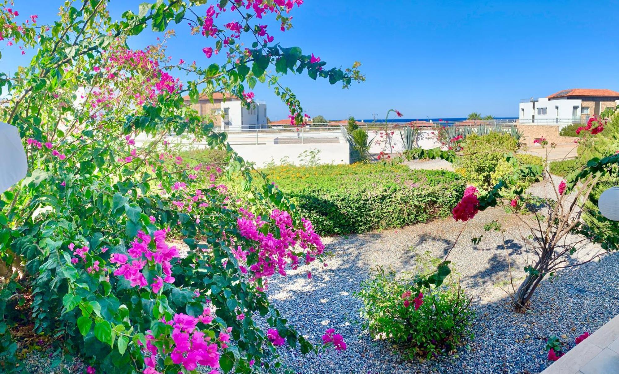 Boho Bay Apartment Akanthou Экстерьер фото